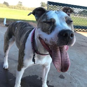 Meet your Posher, Terryn